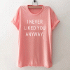 I never liked you anyway Funny T Shirt