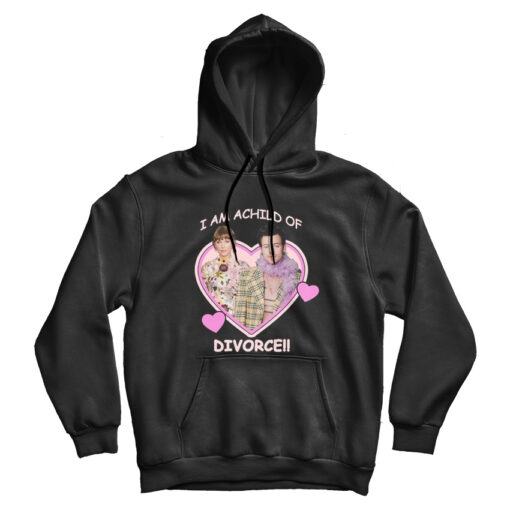 I Am A Child Of Divorce Harry Styles Taylor Swift Hoodie