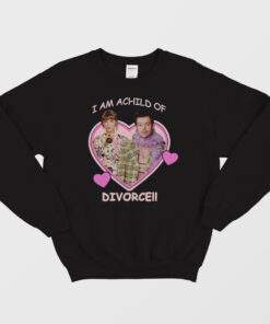 I Am A Child Of Divorce Harry Styles Taylor Swift Sweatshirt