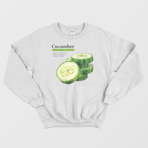 Cucumber Funny Graphic Vegetable Food Sweatshirt