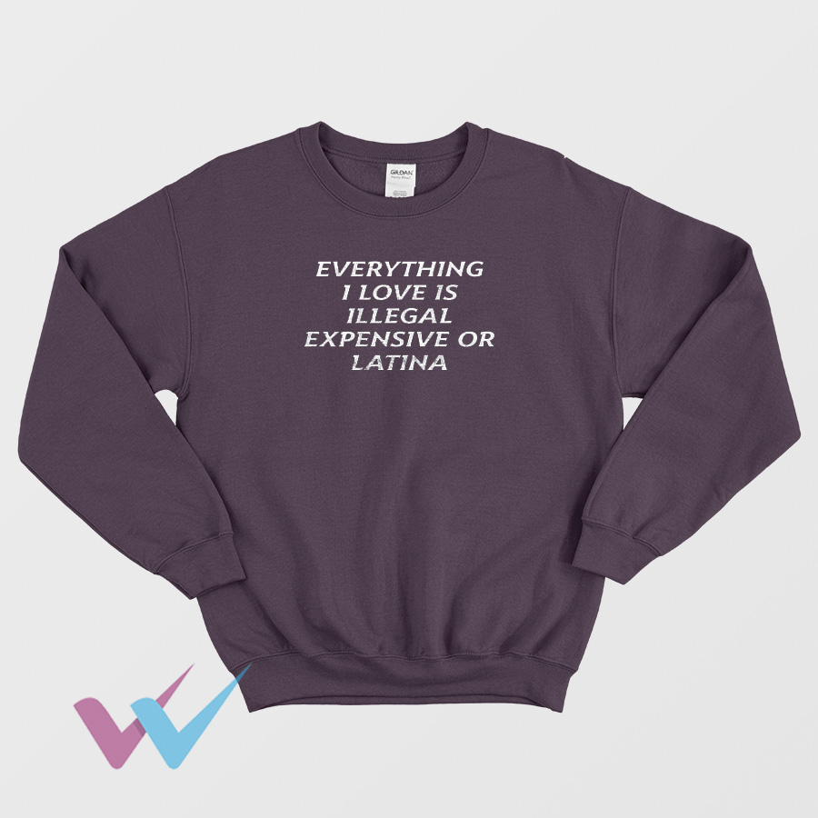 Everything I Love Is Illegal Expensive Or Latina Sweatshirt