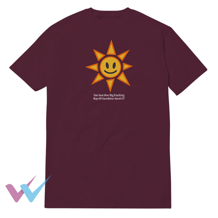 Im Just One Big Fucking Ray Of Sunshine Arent I T-Shirt
