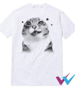 Y2k Retro Cat Meme T-Shirt
